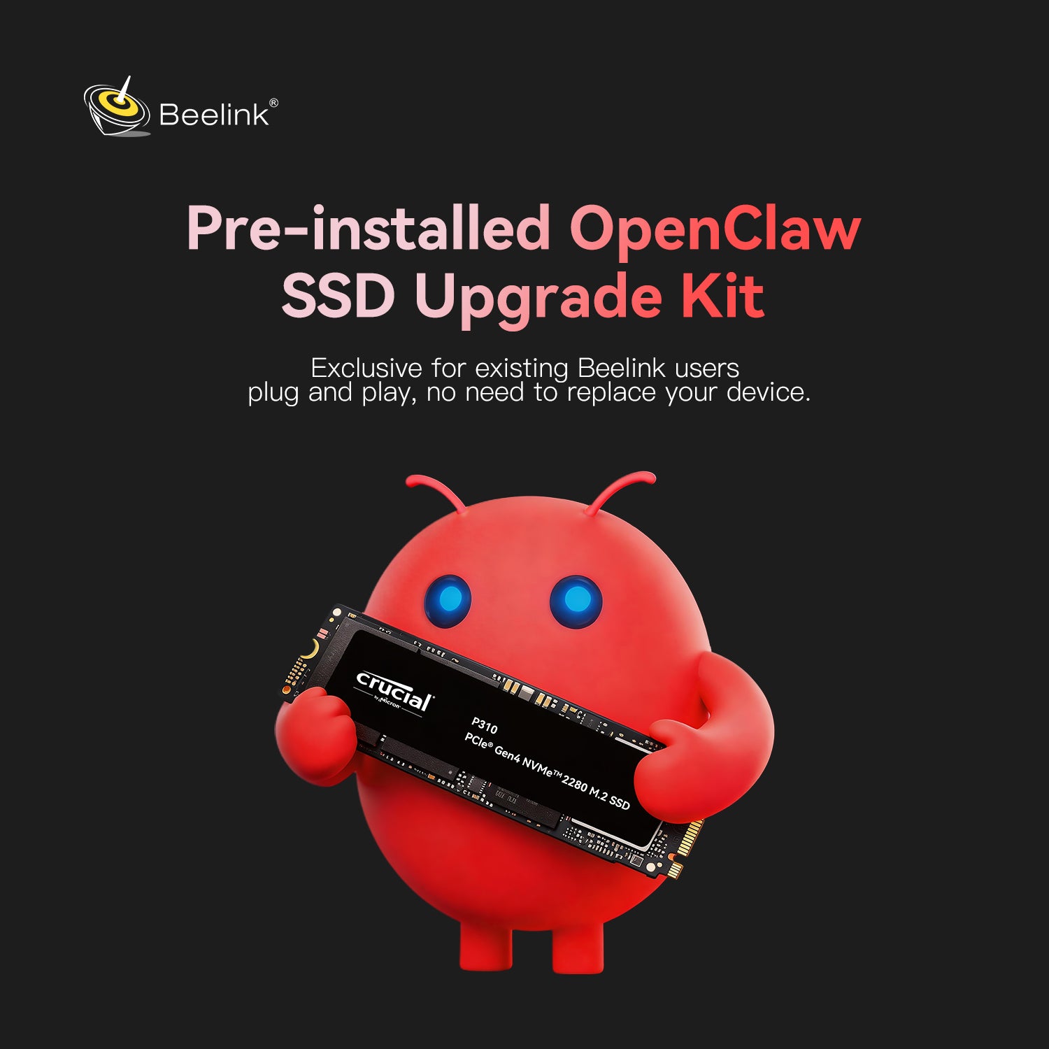Vorinstalliertes OpenClaw SSD Upgrade Kit